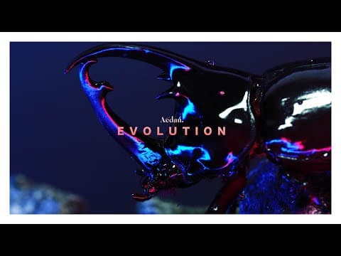Aedan - EVOLUTION