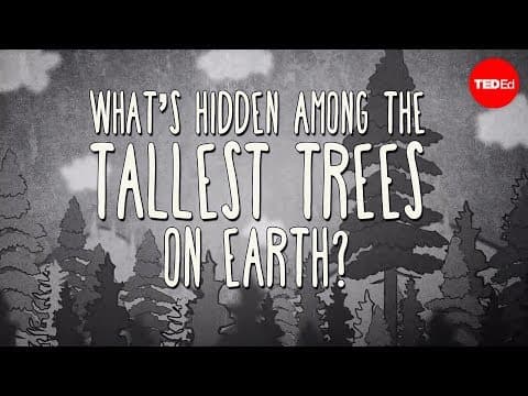 What's hidden among the tallest trees on earth?-wendell oshiro