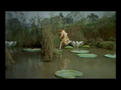 Storm the sheepdog gathers ewes of the hill