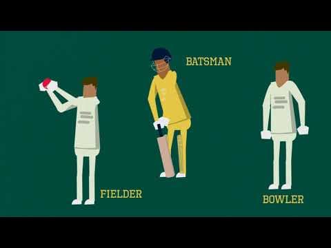 what is cricket - explainer video