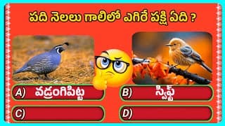 unknown facts telugu channel॥general knowledge facts॥facts in telugu interesting