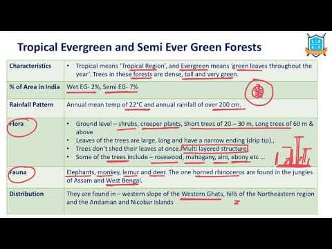 What is Tropical Evergreen and Semi Evergreen Forest? |Types of Forests అంటే ఏమిటి?