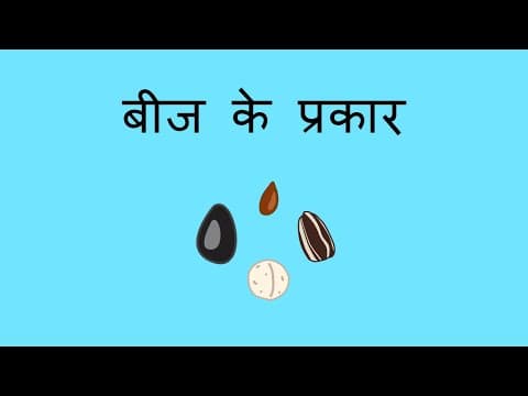 बीज के प्रकार - Looking at Seeds (Hindi)