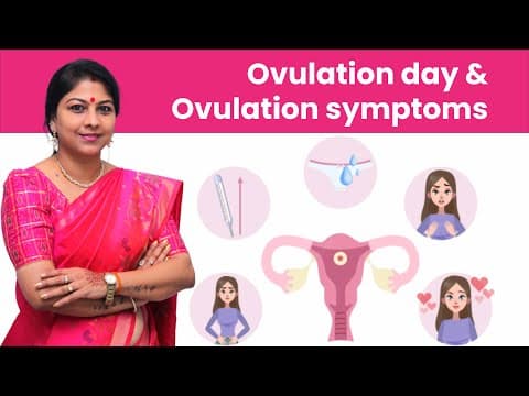 అండోత్సర్గము రోజు & అండోత్సర్గము లక్షణాలు | Ovulation day & Ovulation symptoms in telugu