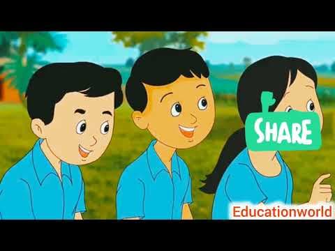 Plant ☘️☘️☘️ classification of plants ! Fun study !! General science !! Science study !! Learning !!