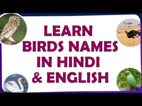 Learn birds names in hindi and english - spoken hindi through telugu