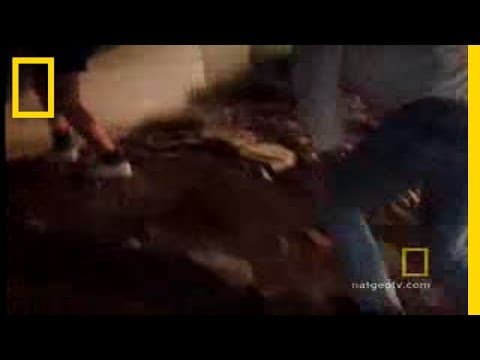 Tornado on the Turnpike