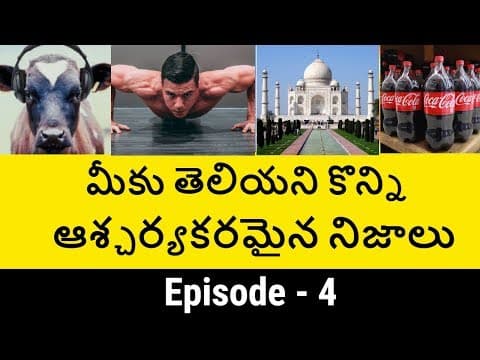 Episode 4 - amazing facts you didn't know - interesting facts