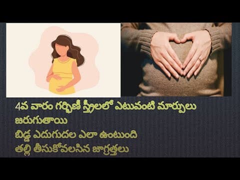 Fourth(4th) week pregnancy details in Telugu | Baby development | #Fourthweekpregnancy