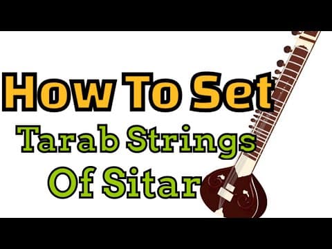 How To Set Tarab Strings Of Sitar | Sitar Tarab Strings Tuning
