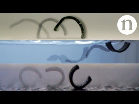 A mini, magnetic, all-terrain robot