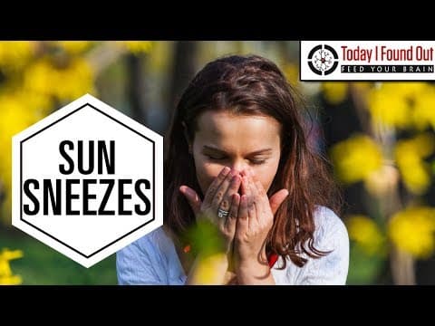 Why Does the Sun Make You Sneeze
