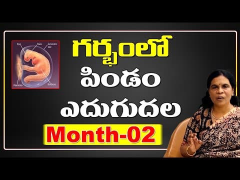 గర్భంలో పిండం ఎదుగుదల - dr rama devi in telugu - month-2 - baby in womb - fetus development