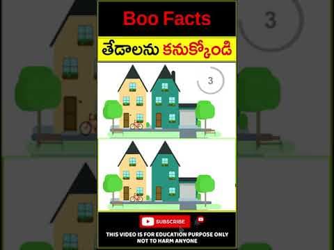 మూడు తేడాలు కనుక్కోండి - Riddles for Children - Spot the difference