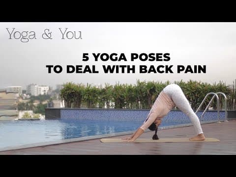 5 Yoga Poses to deal with Back Pain | Beginners Yoga posses