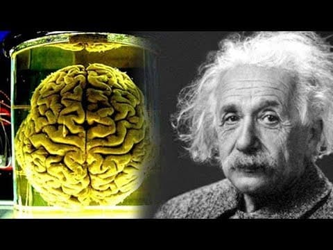 Albert einstein का दिमाग क्यों था खास ? how albert einstein brain is really different than others