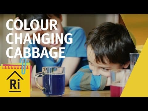 At home science - Colour changing cabbage experiment - ExpeRimental