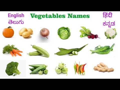 Vegetables Names | Different types of Vegetables