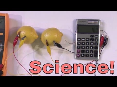 DIY | Build a Lemon Battery Power a Calculator with Lemons Amazing Chemistry Experiment.