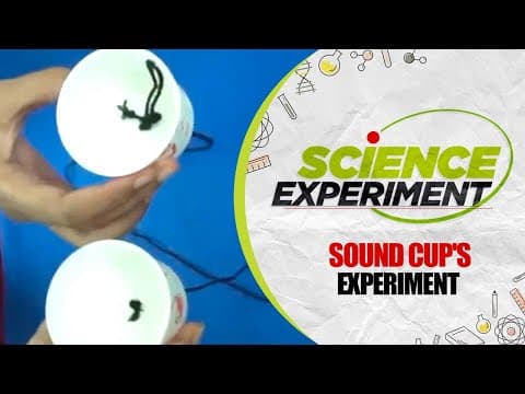 Science Experiment - 26 | Sound Cups Experiment | Chemistry Experiment