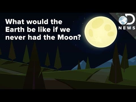 What If Earth Never Had A Moon?