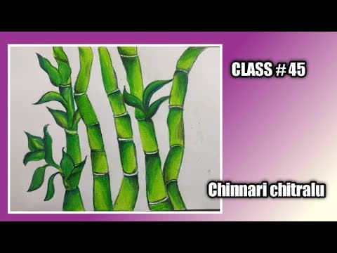 Step by Step drawing || How to draw Bamboo tree ||Bamboo drawing