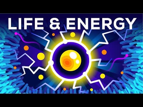 Why are you alive–life,energy & atp–in a nutshell
