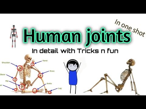 Joints and it's classification / types of joints with details and tricks in one shot