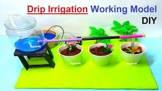 drip irrigation working model for science exhibition - science project - diy - simple