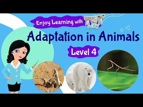 Animal Adaptations For Kids | Science