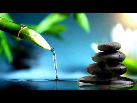 Relax music with the sounds of nature Bamboo Water Fountain