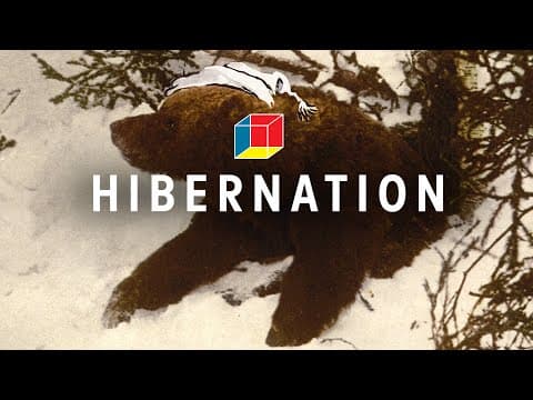 How Animals Hibernate