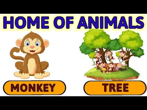 Animals and their homes | Animals home | Home of animals | Animal homes | Animal shelter for kids