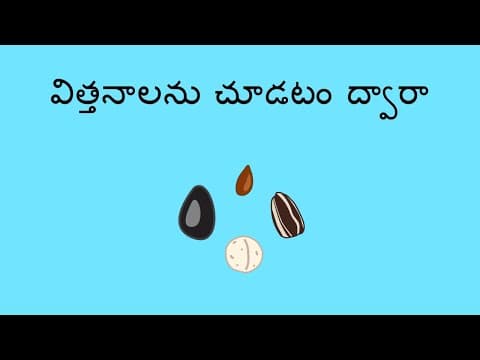 విత్తనాలను చూడటం ద్వారా - Looking at Seeds (Telugu)