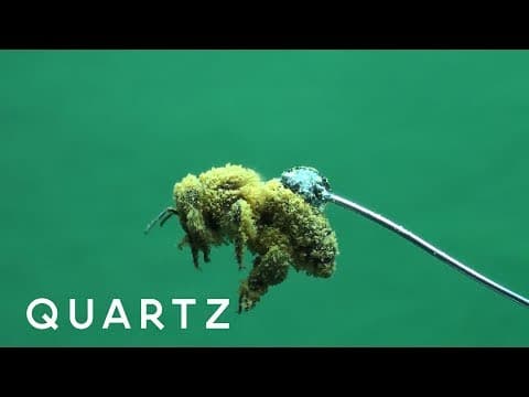 Why honeybees are so hairy