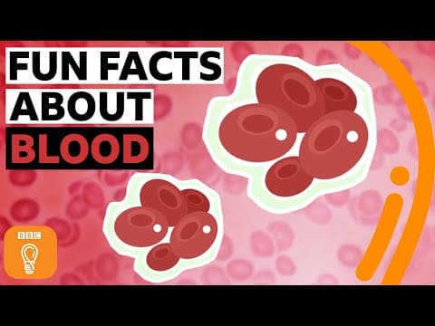 The curious world of blood | BBC Ideas
