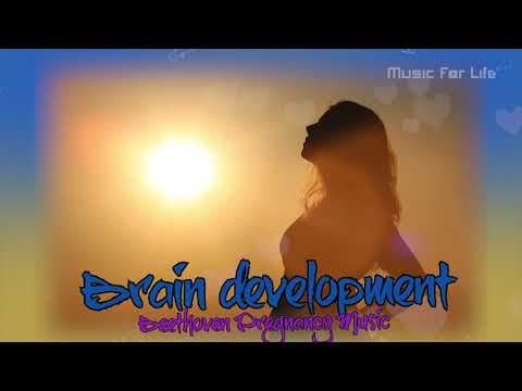 Pregnancy Music | Monthly Development for Babies | Brain Development. #2