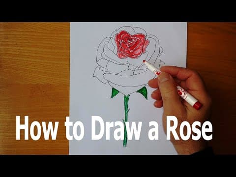 How to draw a red rose - simple drawings