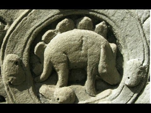 Is this a Stegosaurus