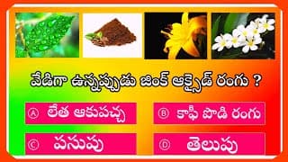 Top10 interesting Questions ln Telugu। Unknown Facts । General knowledge