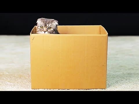 10 CUTE PET HACKS