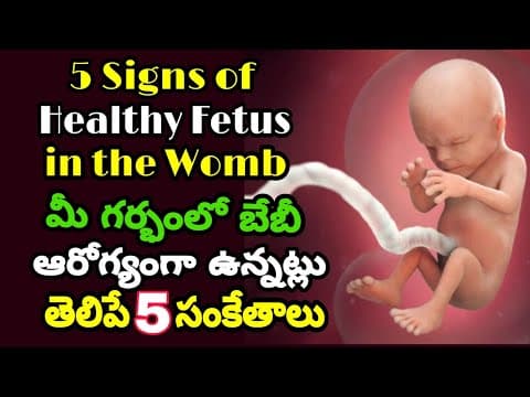 గర్భంలో బేబీ ఆరోగ్యంగా ఉందని తెలిపే 5 సంకేతాలు - signs of healthy baby in pregnancy - healthy baby