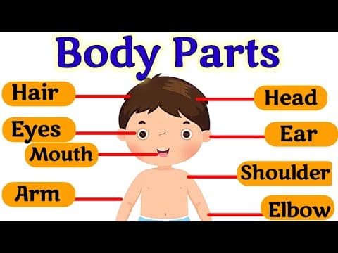 Body parts name | Our Body parts | Different parts of our body | Parts of our body | Sense organs