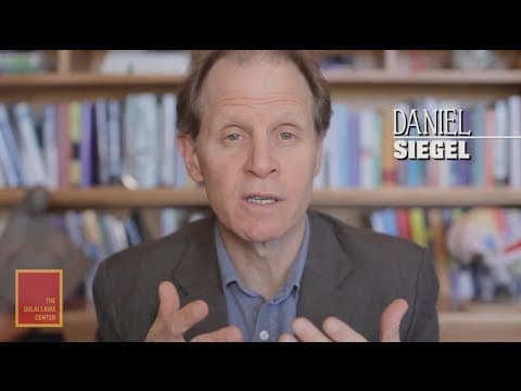 Daniel siegel-the teenage brain