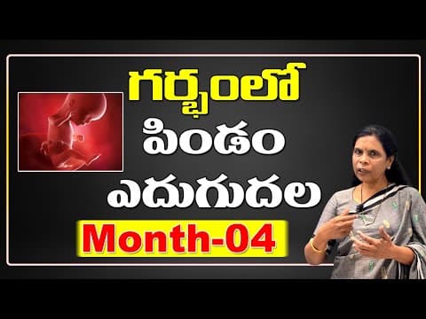 గర్భంలో పిండం ఎదుగుదల - dr rama devi in telugu - month-04 - baby growth in womb - fetus development