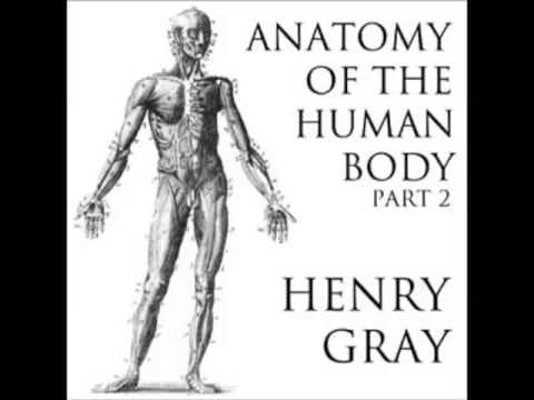 Anatomy of the human body full audiobook - part 10 of 39