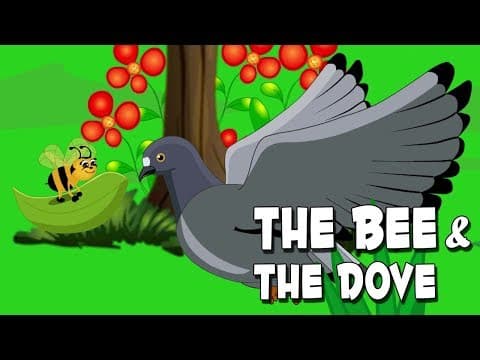 English Stories For Kids | The Bee And The Dove | Bedtime Stories For Babies By Aanon Animation
