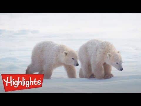 Who Am I #2 | Learning for Kids | Highlights Kids - YouTube