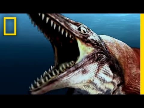 Sea Monsters 2 | National Geographic - YouTube
