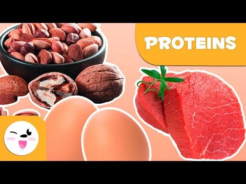 What are proteins?